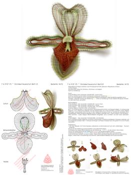 173 Klppelbrief Orchidee Frauenschuh