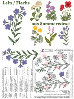 476 Klppelbrief "Lein / Flachs" aus Sommerwiese