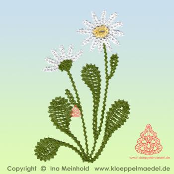 471 Klöppelbrief "Margerite" aus Sommerwiese
